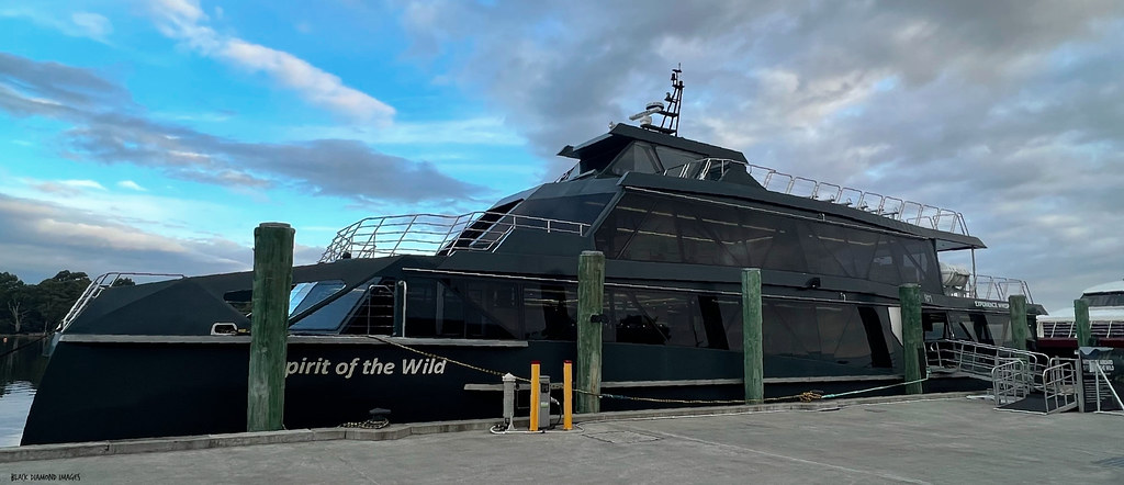 Spirit of the Wild Cruise Boat, Macquarie Harbour, Strahan, West Coast, Tasmania
