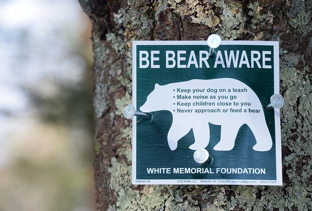 Bearwareness