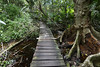 Muyil, Reserva de la Biósfera Sian Ka'an, chodníček k laguně Muyil, foto: Petr Nejedlý