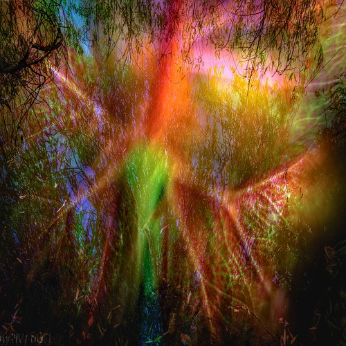 Double Exposure | by Don White (Burnaby)