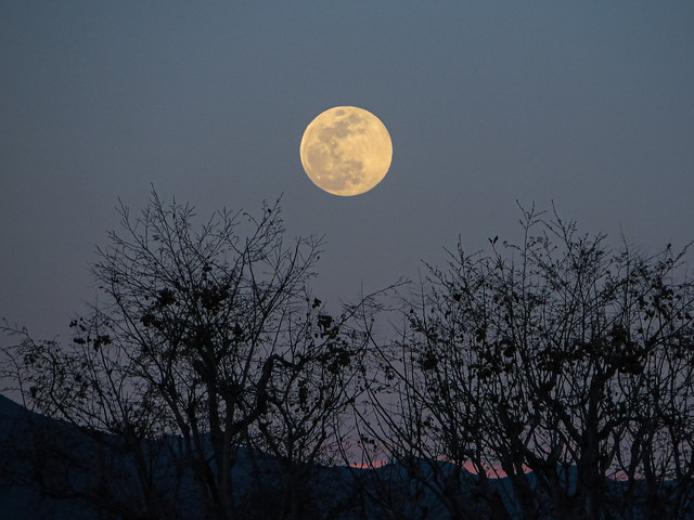 [Explore #24] Snow Moon from Orange County, CA