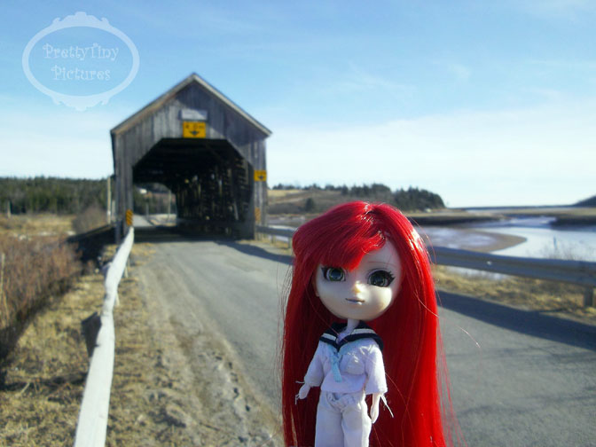 The Adventures of Sunsette!  (Nova Scotia again, May 8) - Page 2 53548630330_ca5ab829c9_o
