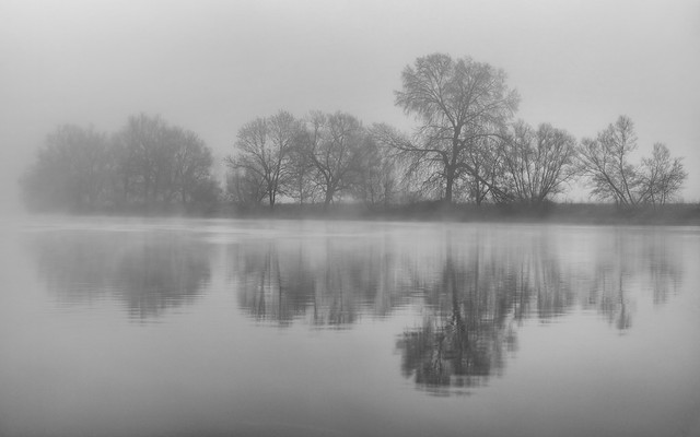 *gray foggy morning on the Moselle*