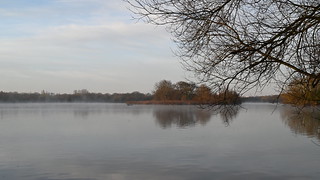 Early Misty Morning at Black Swan Lake - Saturday 24th February 2024