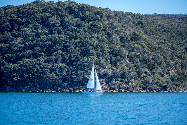 The blue sea and a yacht sailing on Broken Bay