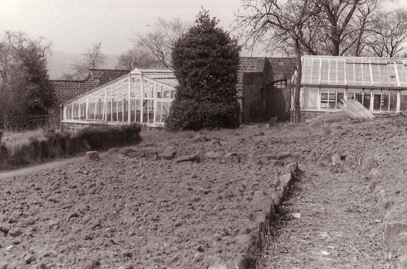 Greenhill Hall greenhouses