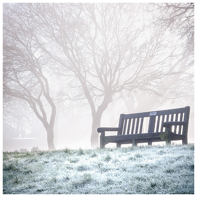 Bench, hoar frost and mist