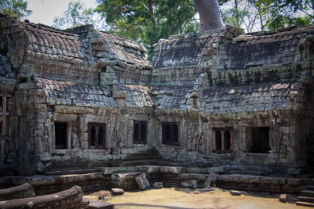 Temple Ta Prohm à Angkor