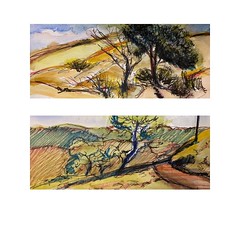 Two quick ink & watercolor & pencil sketches from recent rambles in the park behind my house. . . . #sfbayarea #california #hikeandsketch #outdoorsketching #sanjose #urbansketchers #walktosee #drawoutdoors #sccparks #santateresacountypark #inkandwatercol