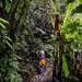 La Reserva Bosque Nuboso Santa Elena. Costa Rica