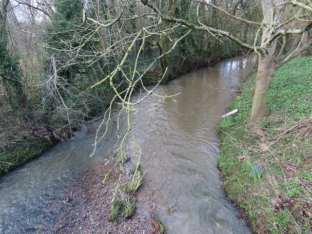 Swollen River Cole from Highfield Road