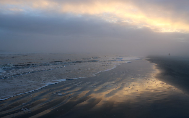Foggy winter sunset at the beach