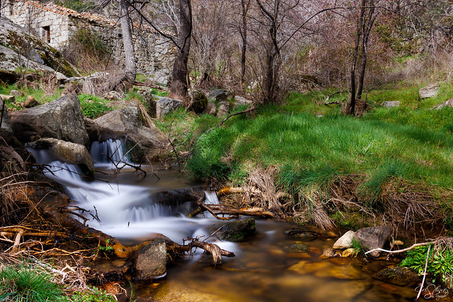 El Arroyo #navalmoraldelasierra #Ávila