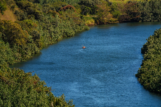 Wailua River Kayaking - Kauai - Hawaii