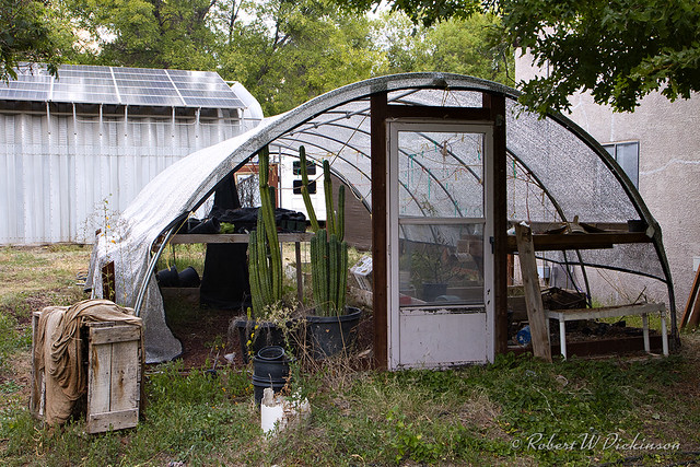 Derelict Greenhouse II