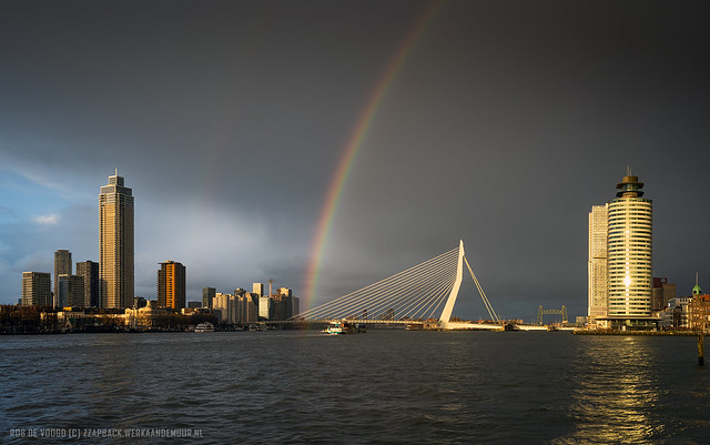 Lucky me | Rotterdam