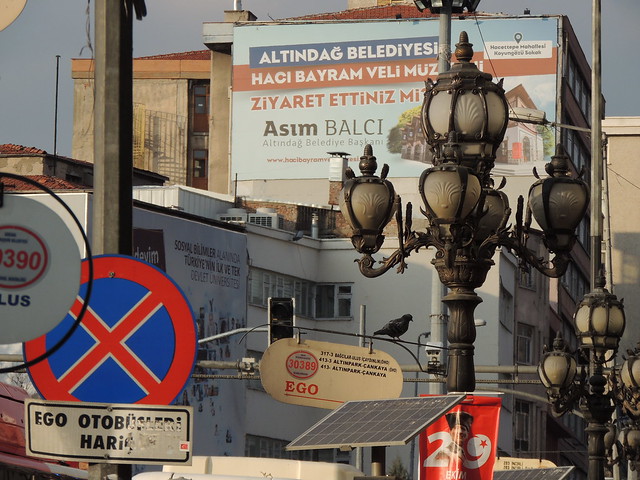 'Spot the pigeon' (Ulus, Ankara)