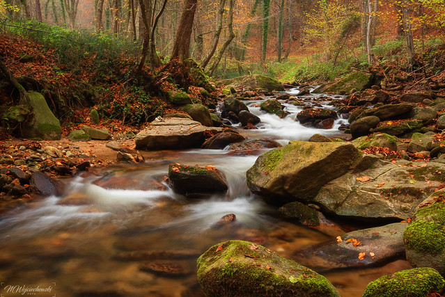 autumn creek