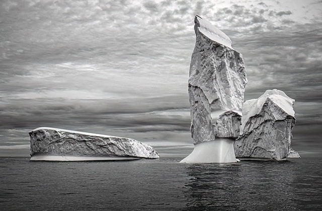 Iceberg Triptych.