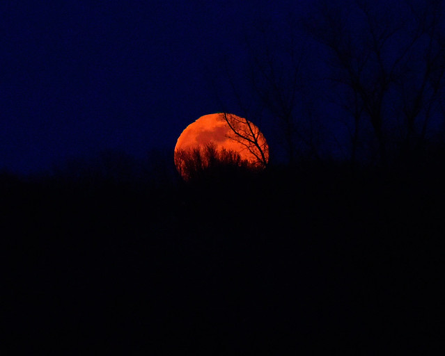 Snow Moon from Montreal