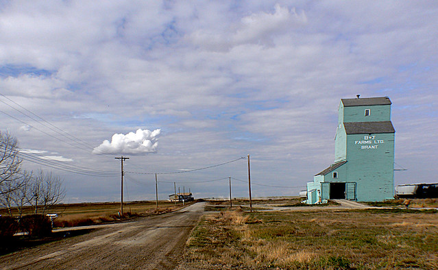 Grain elevators Brant Alberta.