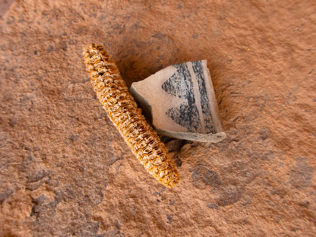 Maize And Sherd