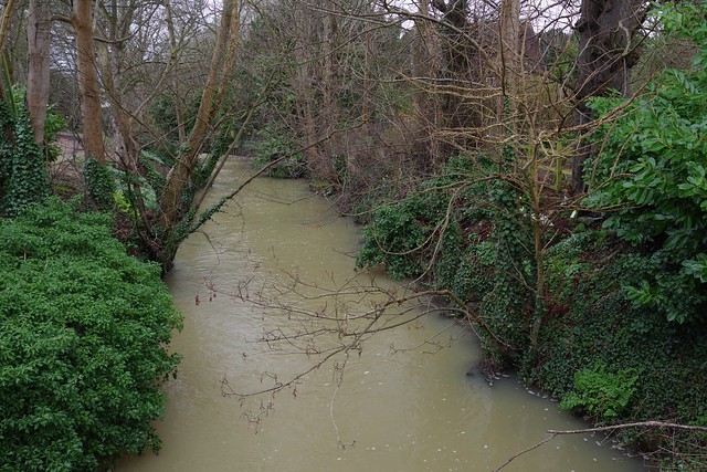 The north branch of the Great Stour at Chartham