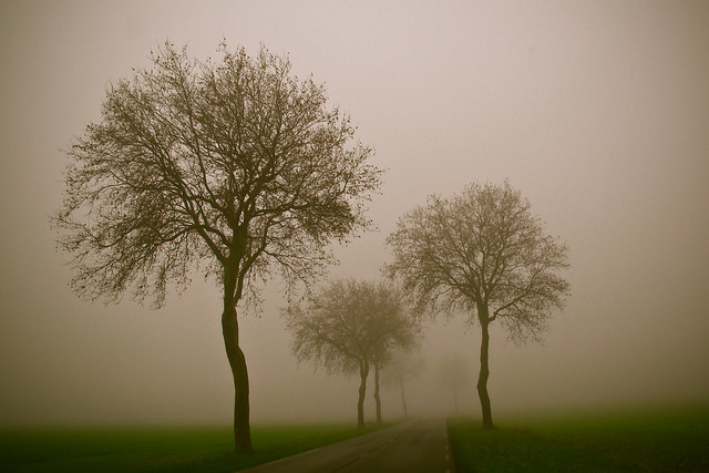 Nebelstraße in Frankreich
