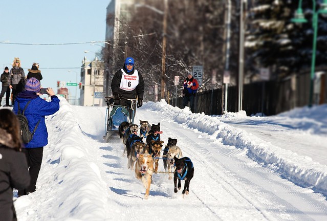 2024 Rondy Open World Championship Sled Dog Races, Anchorage, AK-5617