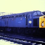 BR Class 40 40104 at Allerton depot.