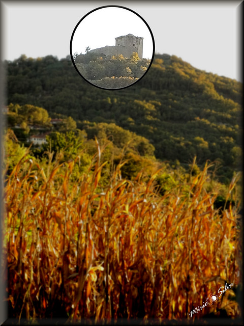 The corn field, the hill of the Brunheiro mountain range and at the top the castle of Monforte de Rio Livre, in Águas Frias - Chaves Portugal.