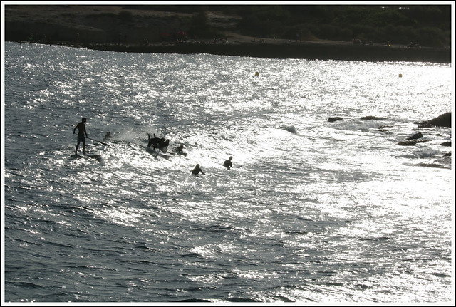 A group of surfers riding the evening waves