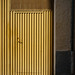 Puerta Amarilla en Sombra