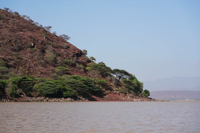 Lake Baringo, Kenya (Ol Kokwe Island)