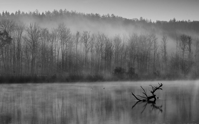 The day awakens by the river  B&W