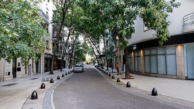 Calle arbolada - Tree-lined street