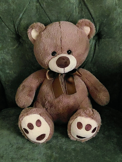 Chocolate teddy bear