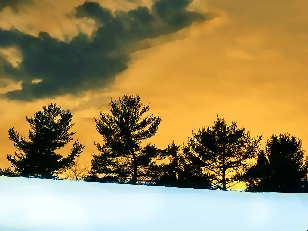Golden Winter Sunset With Trees On Snowy Hill - Edited Winter Photo Created by STEVEN CHATEAUNEUF On February 27, 2024
