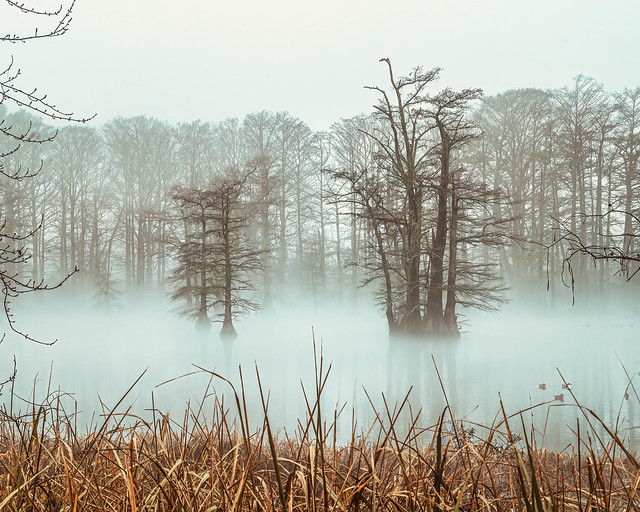 Fog on Hills Lake. North Little Rock, Arkansas. 2024.
