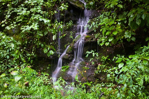 A tiny waterfall on the wall beside the Glade Creek Trail, 