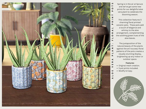 .spruce. aloe vera plant: floral print pots