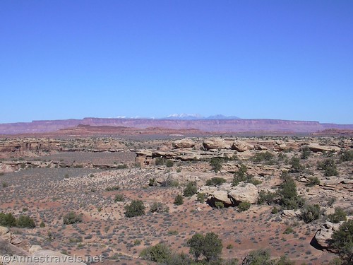 Views toward the La Sal Mountains from Pothole Point, Needles District of Canyonlands National Park, Utah