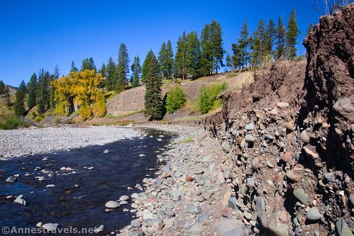 Along the bank of Cache Creek on the Lamar River Trail, Yellowstone National Park, Wyoming