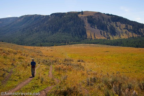 Hiking down to the Cache Creek Trail Junction on the Lamar River Trail, Yellowstone National Park, Wyoming