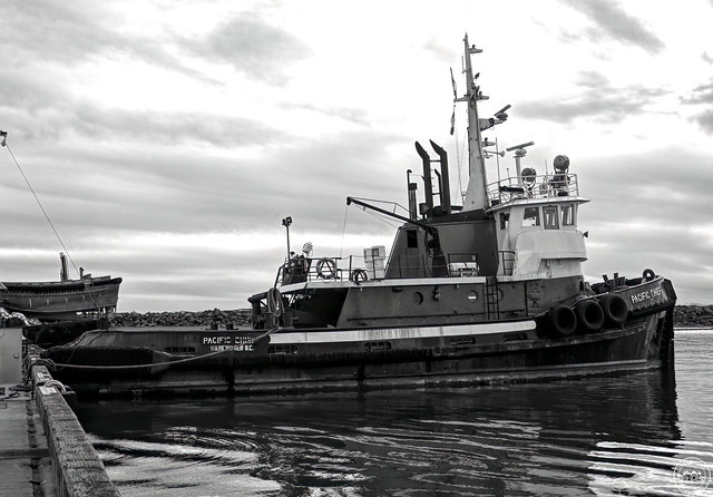 PACIFIC CHIEF II Tugboat c. 1966 - Steveston Harbour