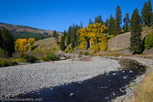 Autumn colors along Cache Creek and the Lamar River Trail, Yellowstone National Park, Wyoming