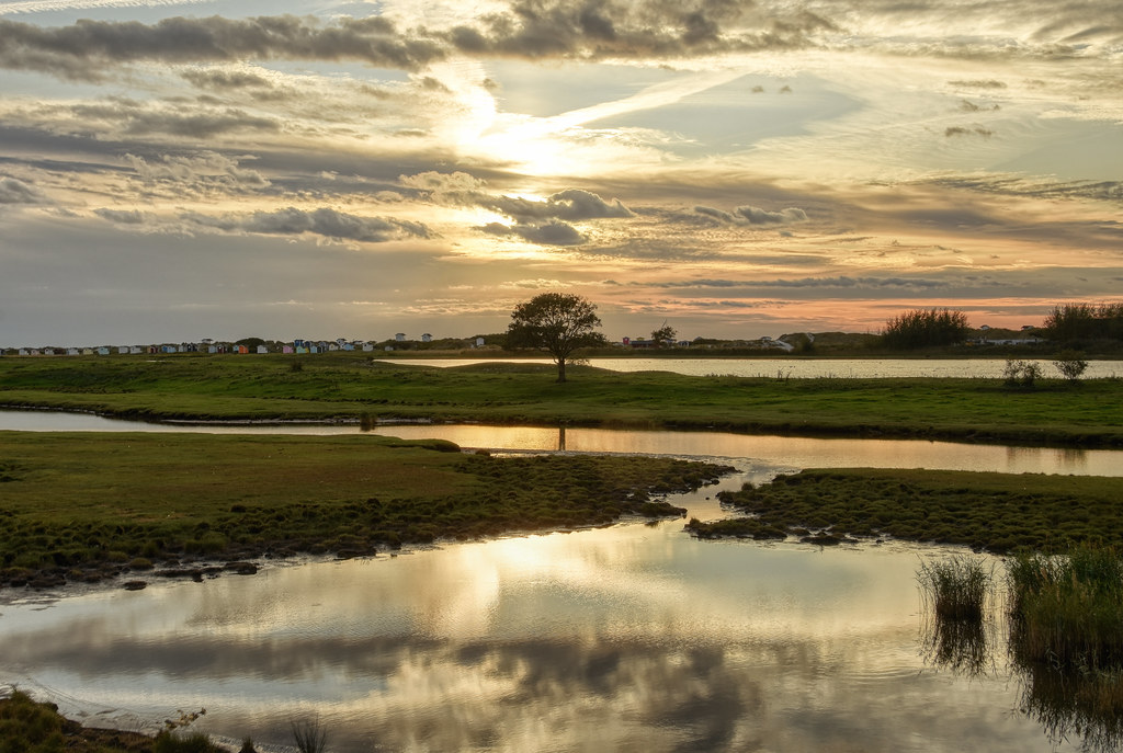 Flommen Sunset Tree