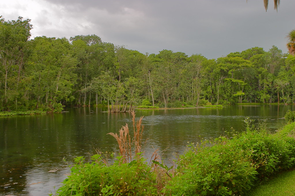 Silver River in Silver Springs State Park, Ocala, Florida
