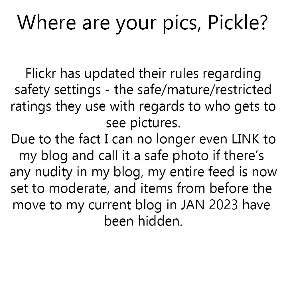 Where are your pics, Pickle?