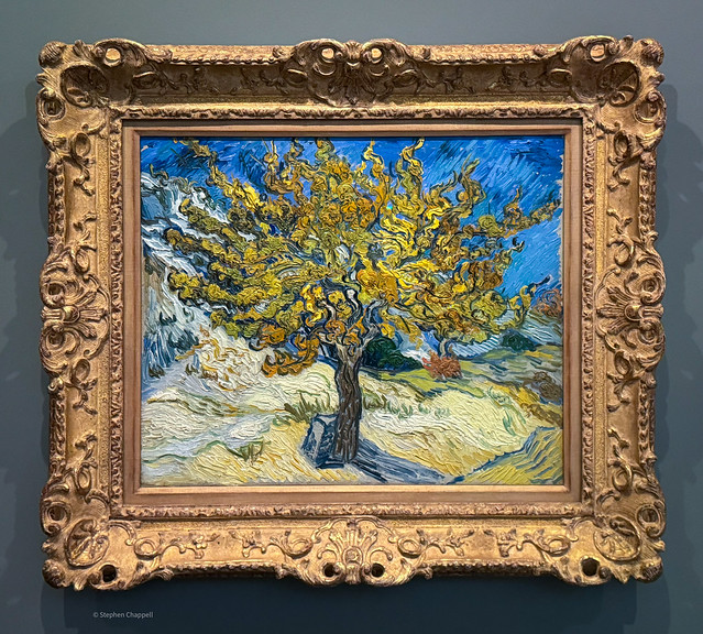 The Mulberry Tree (1889) by Vincent van Gogh